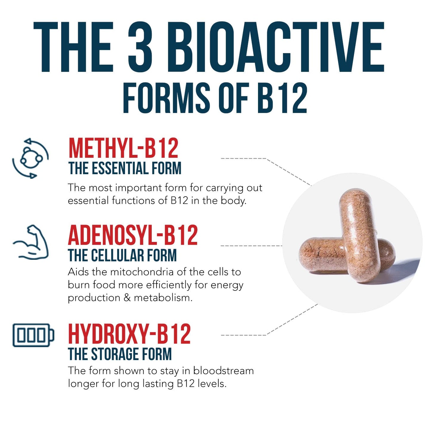 BioActive Vitamin B12 - 5000 mcg, Contains 3 BioActive Forms B12 Plus Methylfolate Cofactor - Methyl B12, Adenosyl B12 & Hydroxy B12 | Supports Energy, Metabolism & Mood | Vegan, Non-GMO (60 Servings)