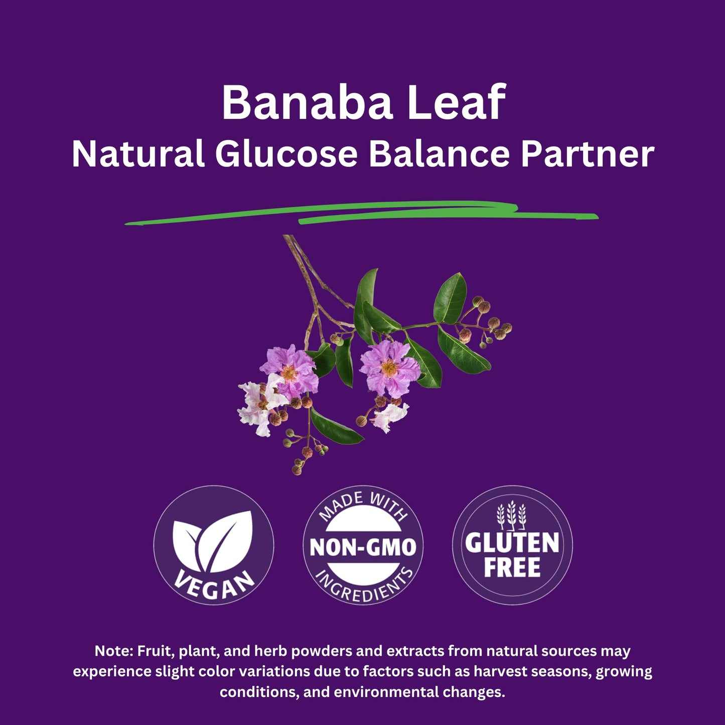 Paradise Herbs, Banaba Leaf, 12:1 Concentrated Extract, 250 mg, Vegan, Gluten-Free, Non-GMO, 180 Capsules