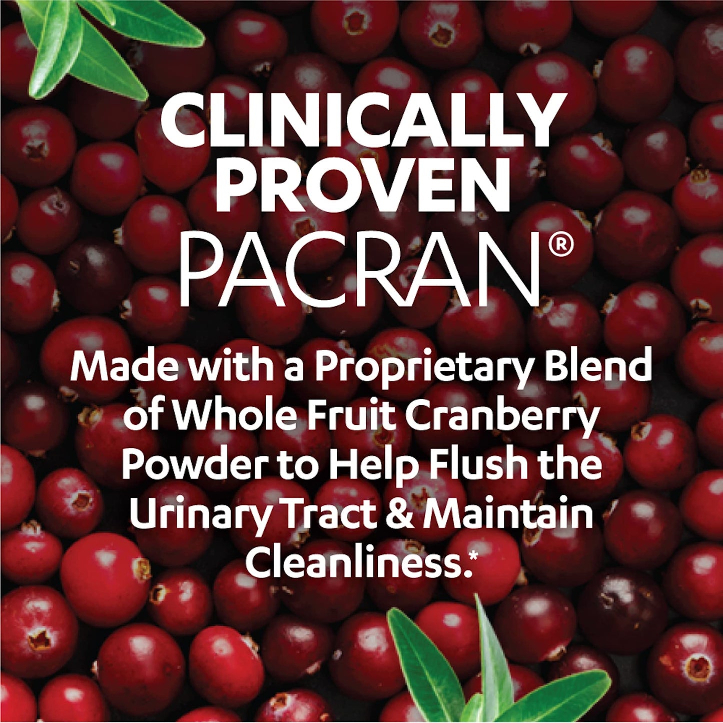 AZO Cranberry Urinary Tract Health, 100 Softgels & 50 Caplets, 1 Serving = 1 Glass Cranberry Juice, Sugar Free Pacran