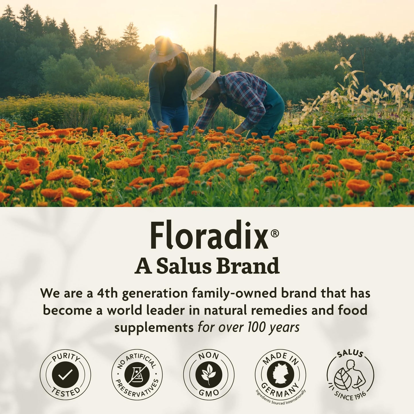 Pre-Order | Arrives in 5–10 Days – Floradix by Salus Iron & Herbs - Liquid Herbal Supplement for Energy Support* - Iron Supplement with Vitamin C & B Complex Vitamins - for Men & Women - 23.7 Fl Oz
