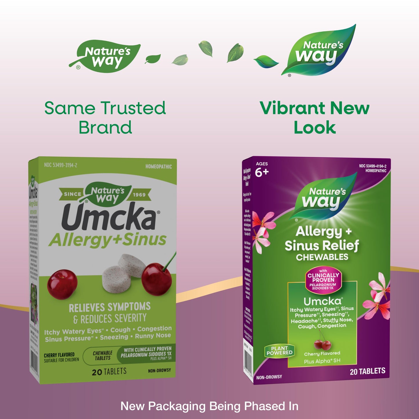 Nature's Way Allergy+Sinus Relief Chewables, Umcka, Sneezing*, Runny Nose*, Headache*, Cough, Congestion, No Phenylephrine, Non-Drowsy, Cherry Flavored, 20 Chewable Tablets (Packaging May Vary)
