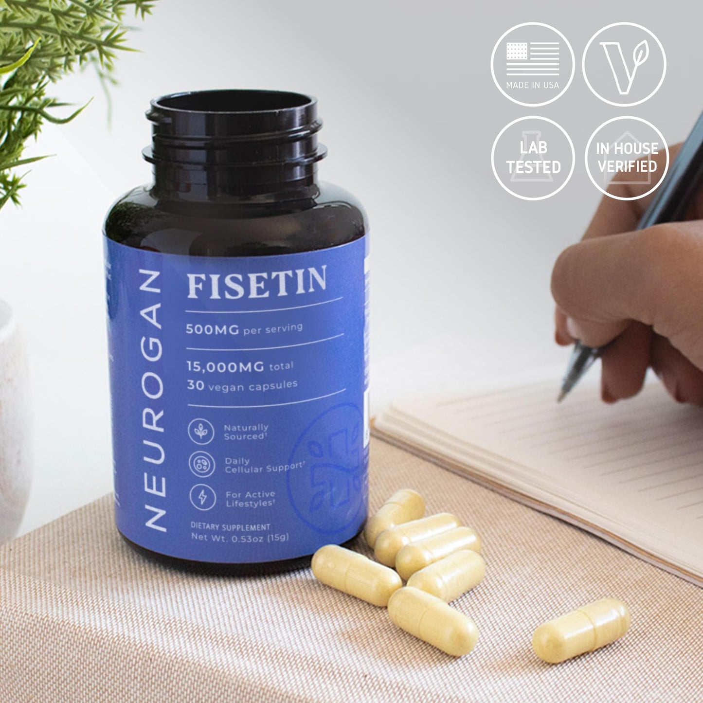 Neurogan Fisetin 500MG - 98% Pure | Healthy-Aging & Brain Health Fisetin Capsules | Brain Supplements for Memory and Focus, Senolytic Support | Natural Polyphenols, Non-GMO, 30 Servings