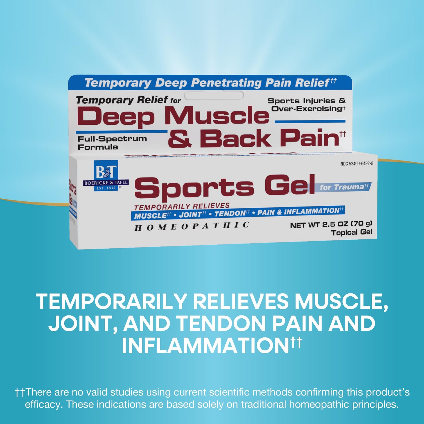 Nature's Way Boericke & Tafel Sports Gel, Relief for Deep Muscle, Joint, Tendon, & Back Pain and Inflammation, Homeopathic, 2.5 oz