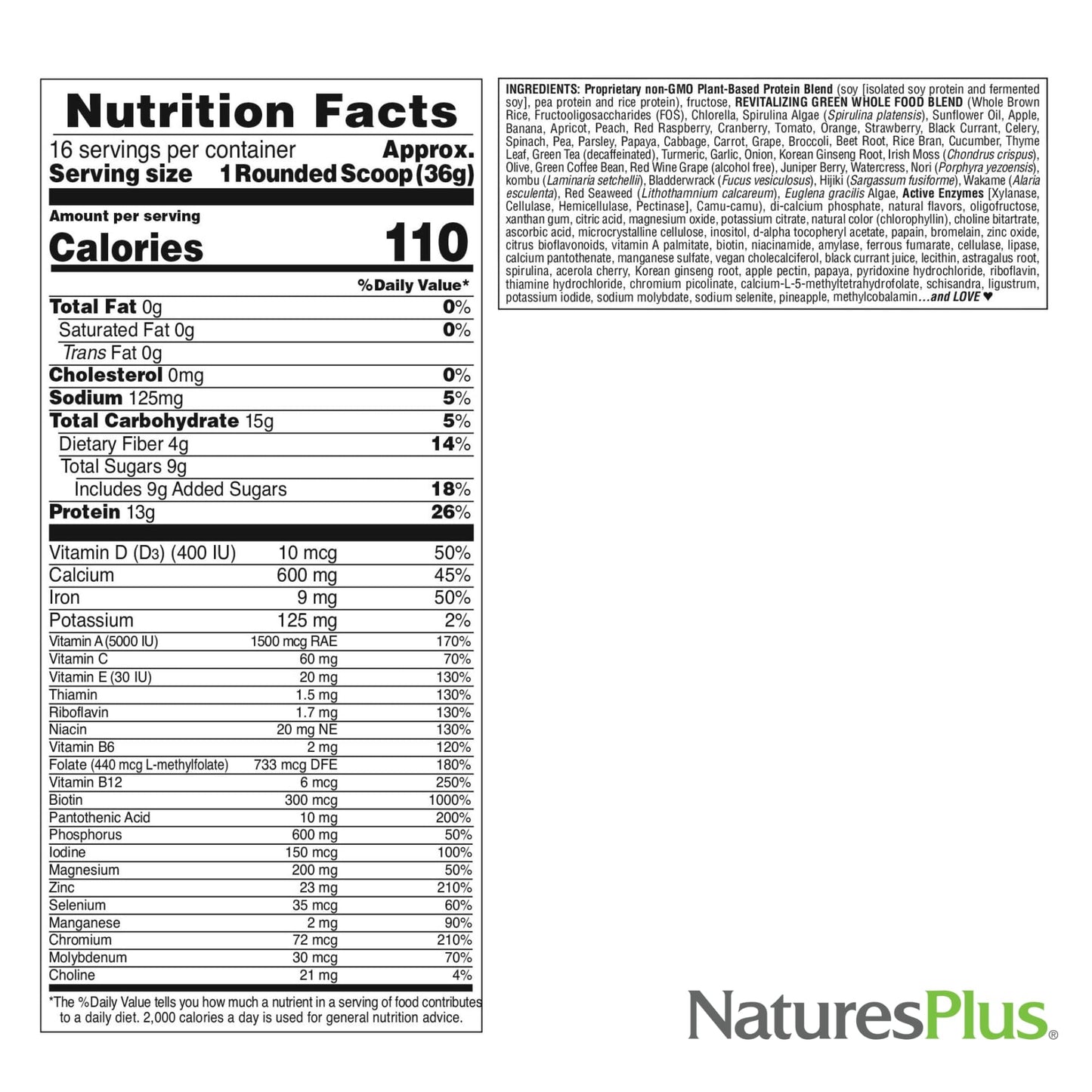 NaturesPlus FRUITEIN Revitalizing Green Foods Shake - 1.3 lbs - Plant-Based Protein (13g/Serving) - Supports Energy & Immune System - Vegetarian, Gluten Free & Non-GMO - 16 Servings