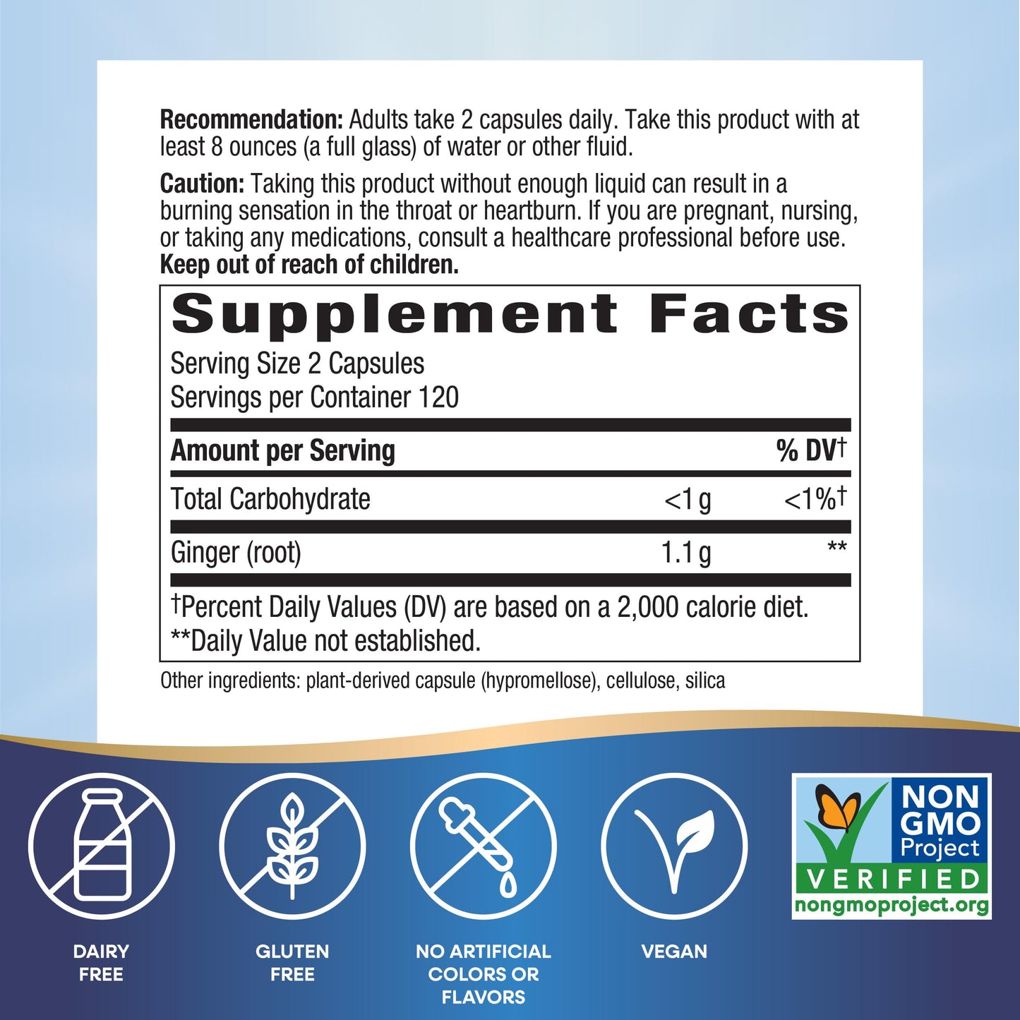Nature's Way Ginger Root, Promotes Digestive Comfort*, Reduces Motion-Related Nausea*, 1,100 mg Per 2-capsule Serving, Non-GMO Project Verified, Vegan, 240 Capsules