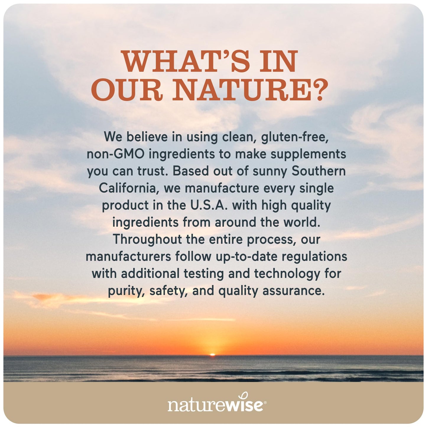 NatureWise Multivitamin for Men, Gummies Peach Mango Flavor, for Immune Health with Minerals & Vitamin A, C, D, E, B6 and B12, Vegetarian, Soy-Free, Non-GMO, 60 Count[1-Month Supply]