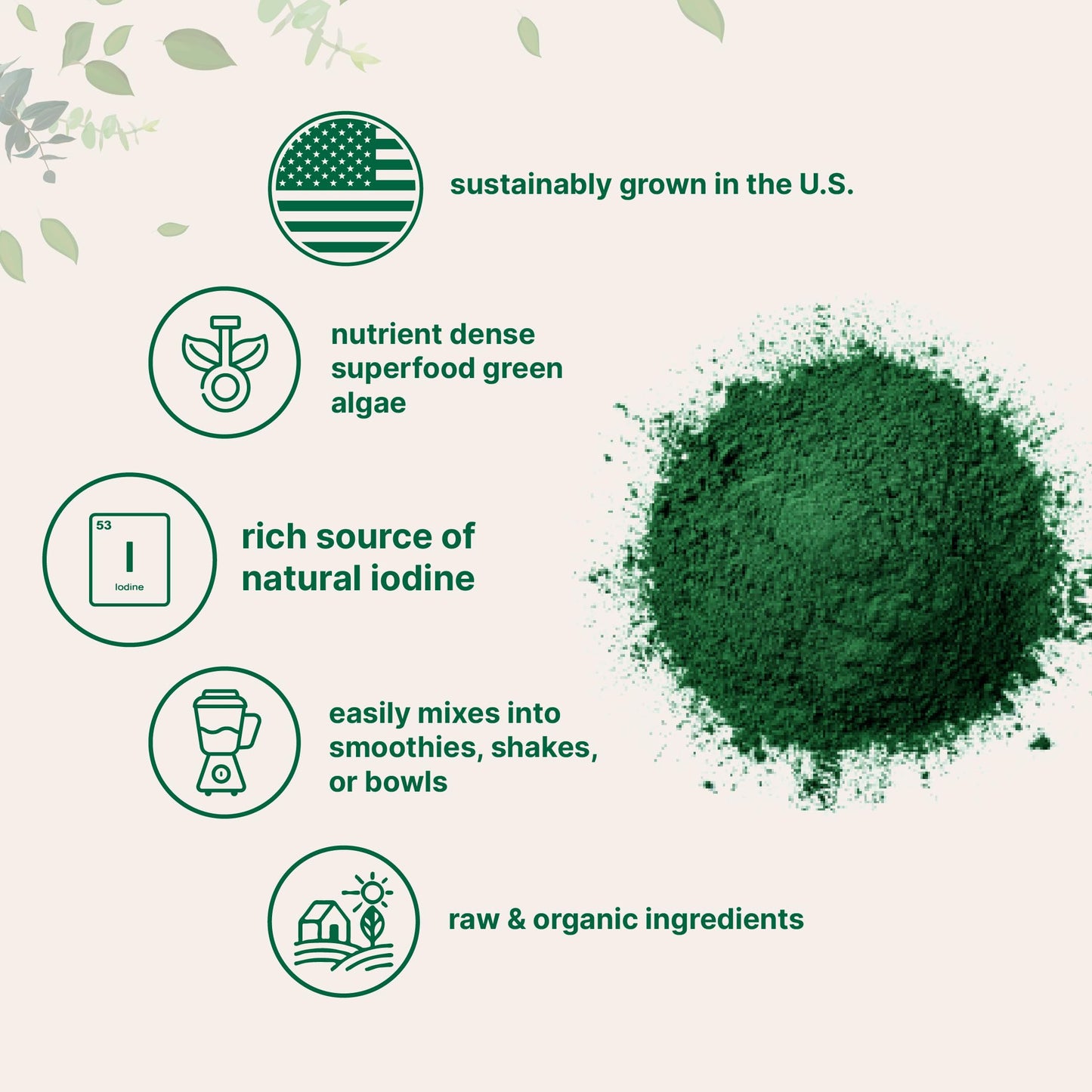 Pre-Order | Arrives in 5–10 Days – Organic Kelp Powder, 2lbs | Sustainably US Grown, Raw Ascophyllum Nodosum Source | Rich in Iodine for Thyroid Support, Body Scrubs, & Skin Care | Sea Vegetable | Non-GMO, Vegan