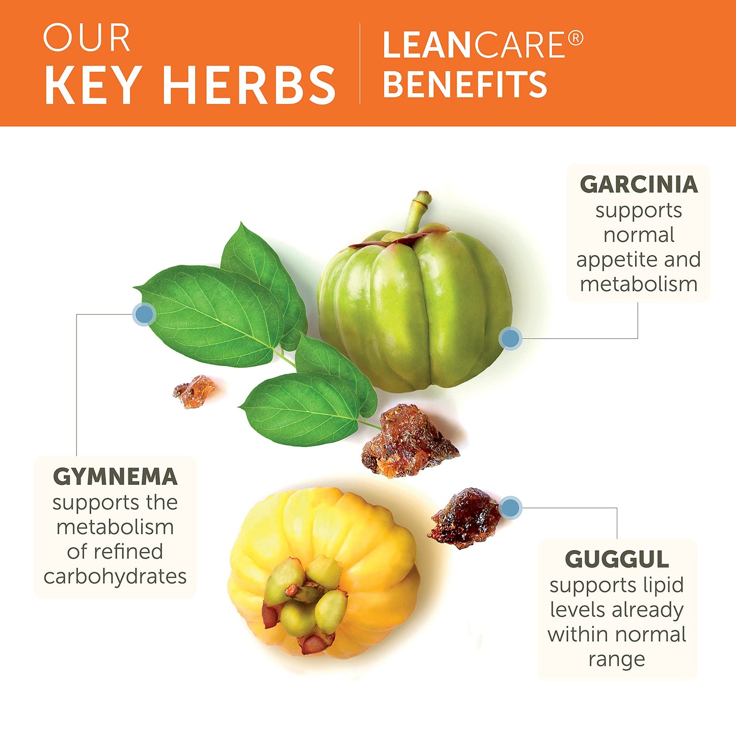 Himalaya LeanCare Herbal Supplement for Weight Support, Promotes Healthy Body Weight and Metabolism, Garcinia, Gymnema, Guggul, Non-GMO, Vegan, 600 mg, 120 Vegetarian Capsules, 30 Day Supply