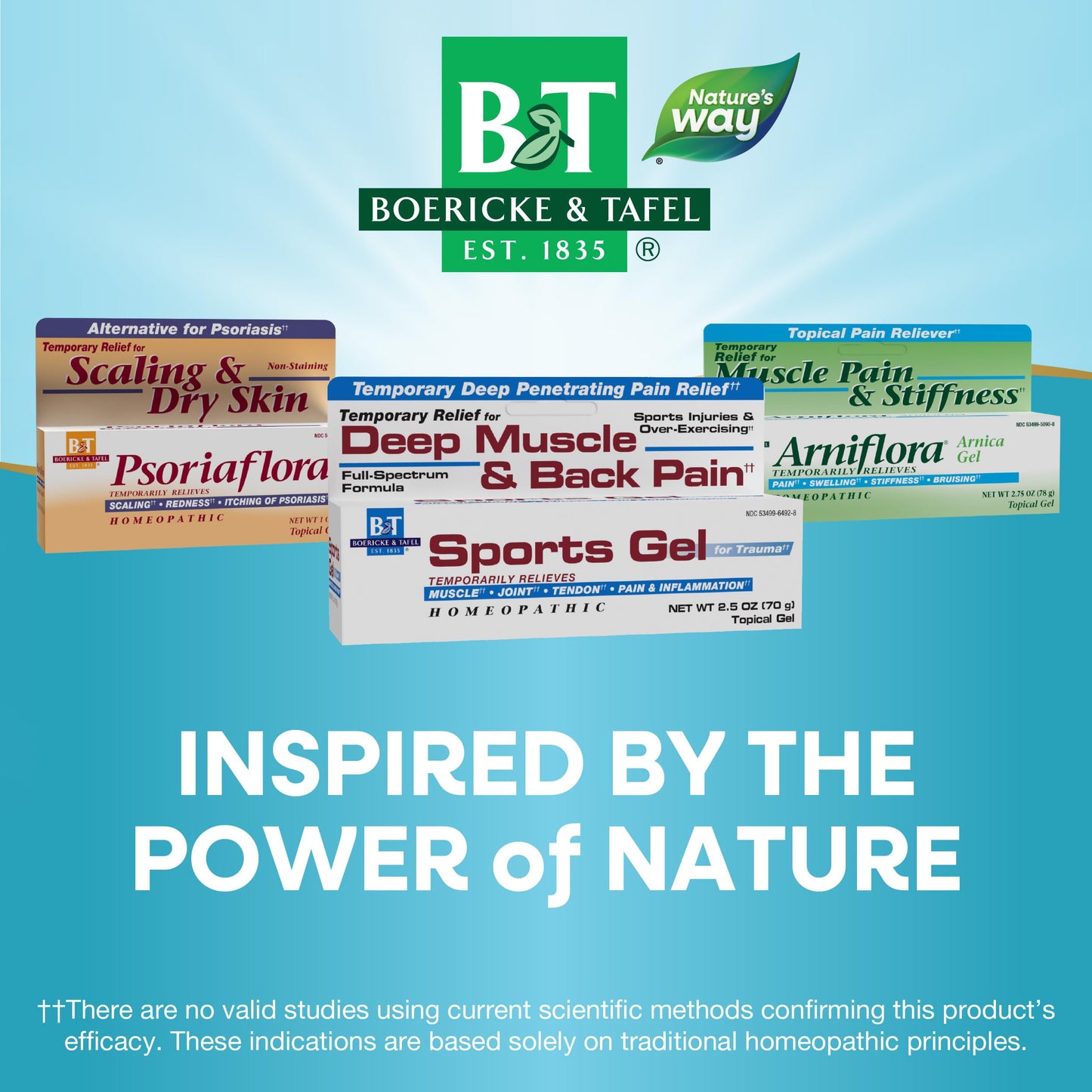 Nature's Way Boericke & Tafel Sports Gel, Relief for Deep Muscle, Joint, Tendon, & Back Pain and Inflammation, Homeopathic, 2.5 oz
