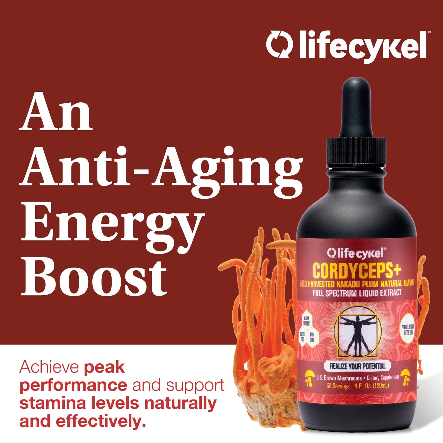 Lifecykel Cordyceps Mushroom Extract with Kakadu Plum - Energy, Stamina & Vitality Support, Natural Aging Supplement - Non-GMO and Vegan Tincture - 1Fl Oz