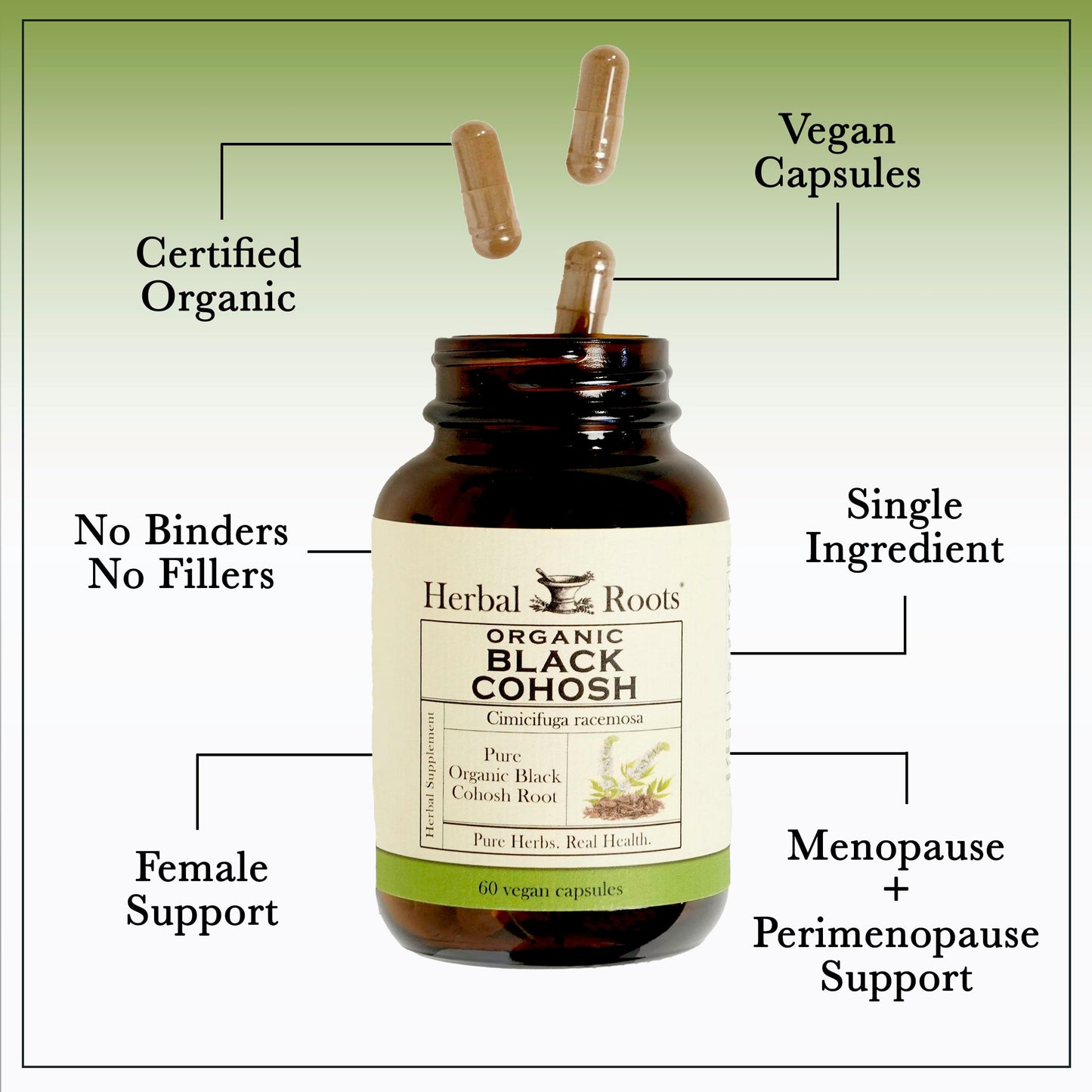 Herbal Roots Organic Black Cohosh Root | Extra Strength | Menopause and Menstrual Support for Women | 90 Capsules, Vegan