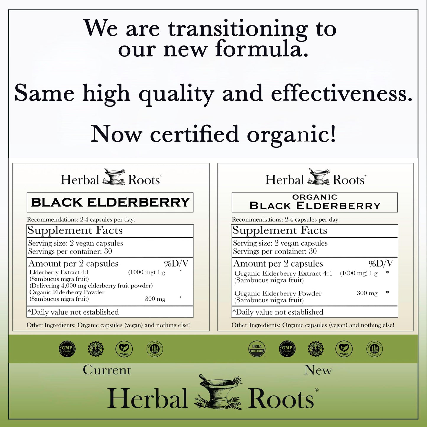 Herbal Roots Organic Black Elderberry Capsules | Max Strength | Made with Organic Sambucus | 60 Vegan Capsules