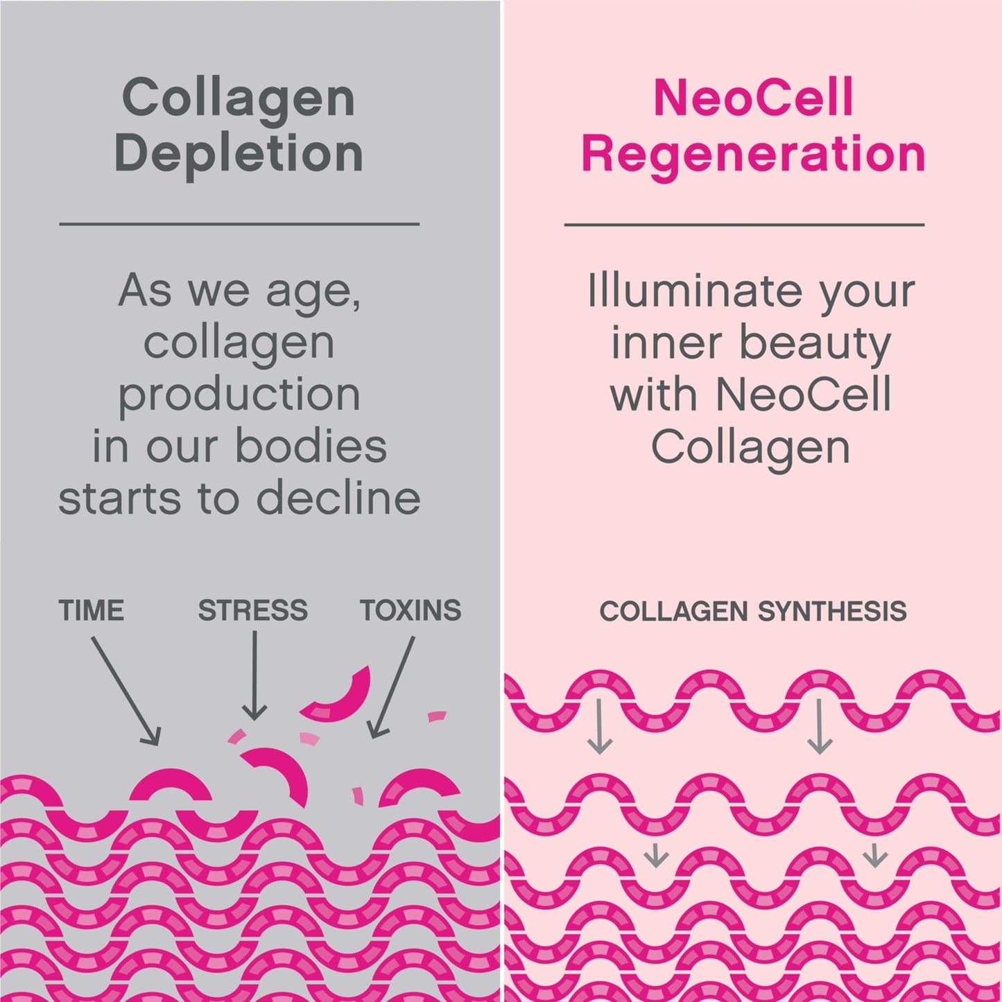 NeoCell Hair, Skin and Nails Beauty Builder With Collagen, Biotin and Vitamin C, Includes Antioxidants, Gummy, Lemon, 60 Count, 1 Bottle