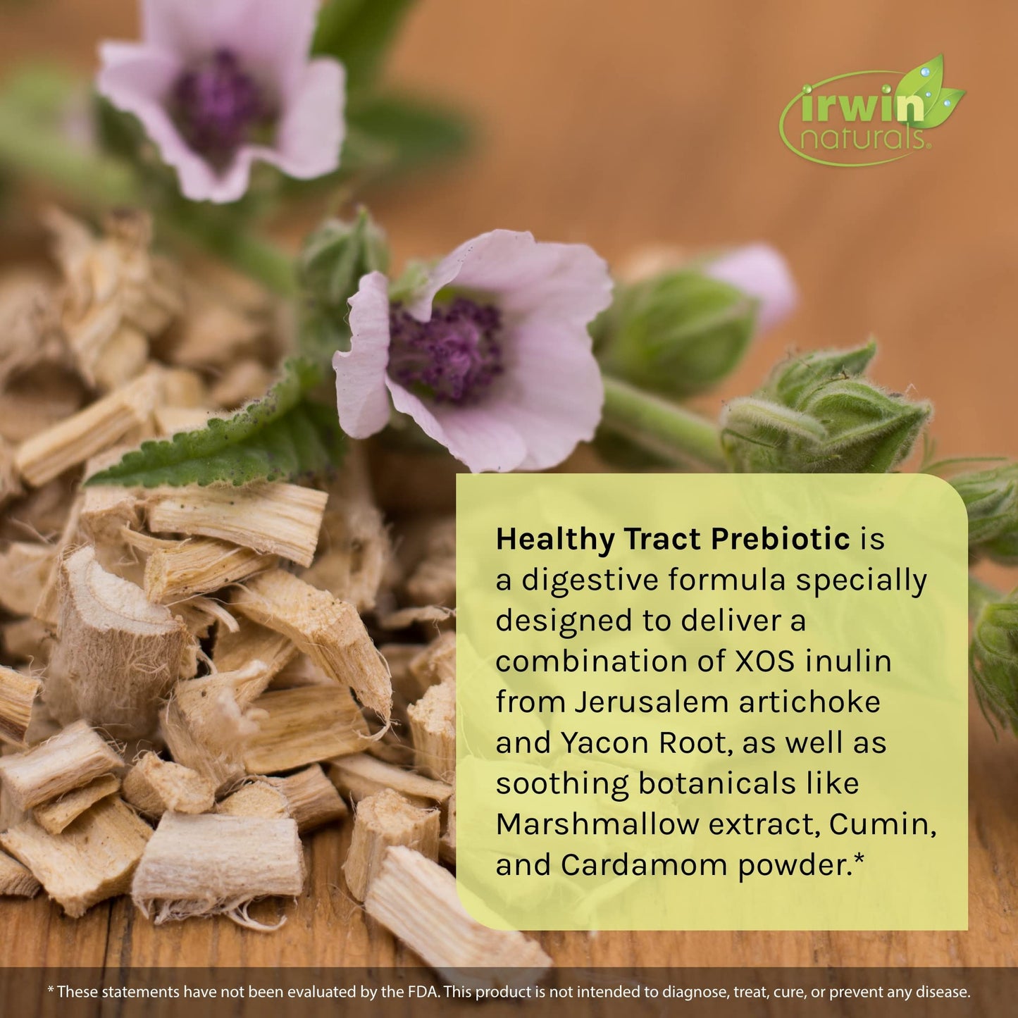 Irwin Naturals Healthy Tract Prebiotic Supplement, 60 Count