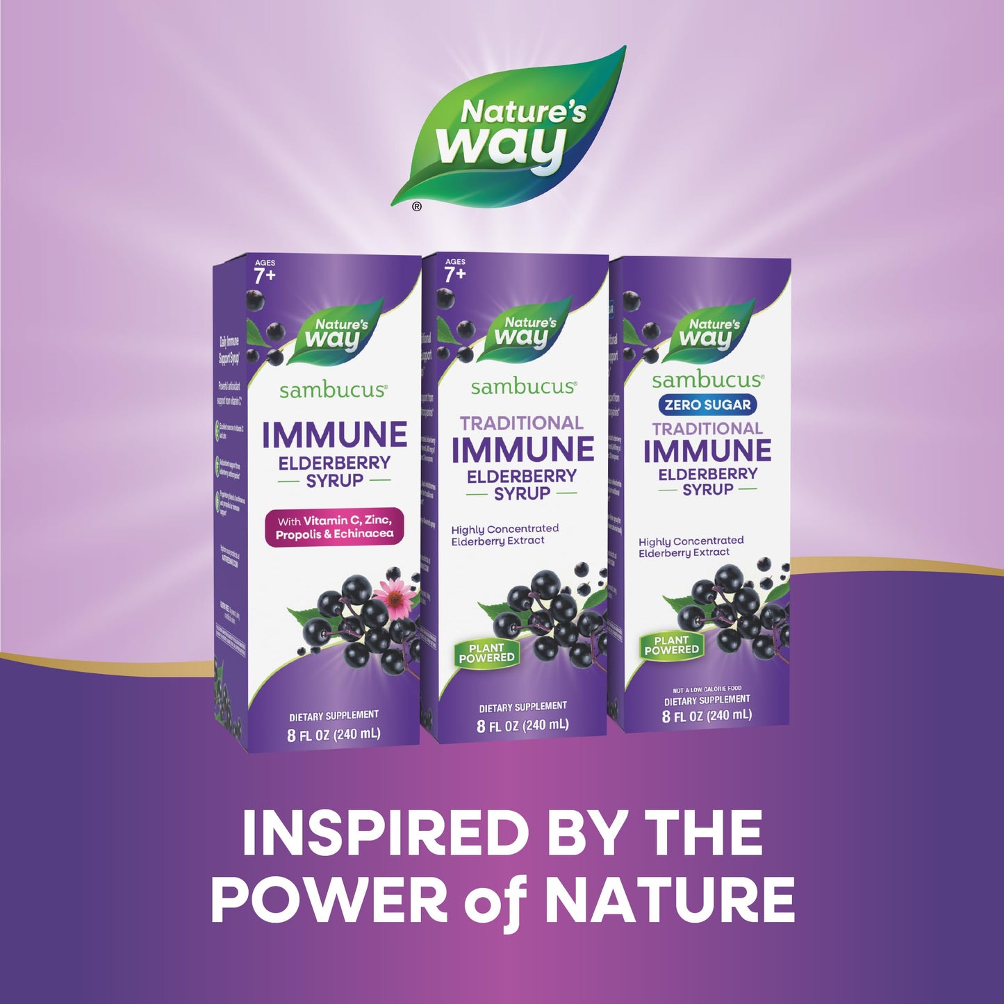 Nature’s Way Sambucus Elderberry Traditional Immune Syrup, Highly Concentrated Black Elderberry Extract, Traditional Immune Support*, Delicious Berry Flavored, 8 Fl Oz (Packaging May Vary)