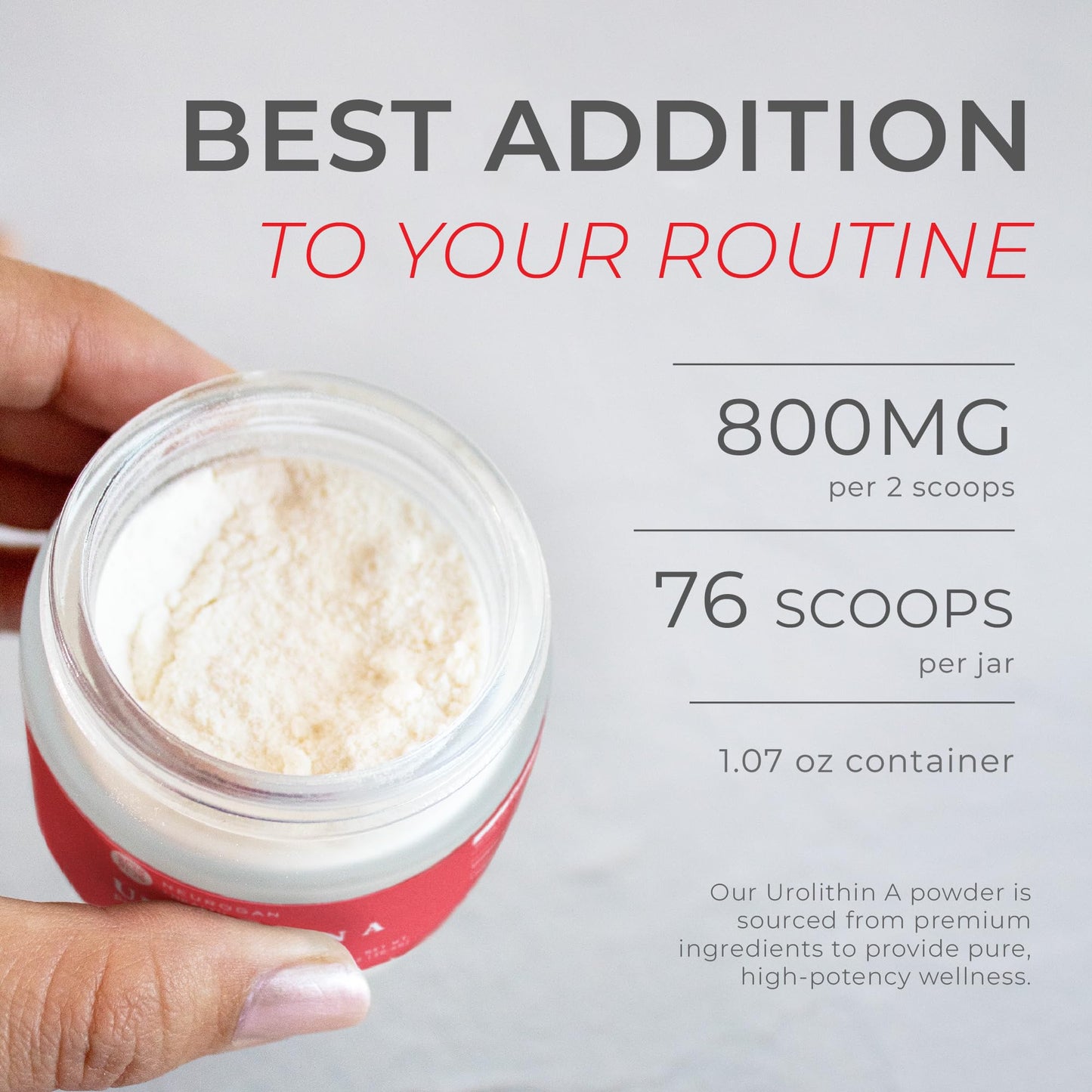Neurogan Urolithin A Powder 800mg - Daily Wellness -Vegan, Non-GMO, Gluten-Free - 30.4g - Pure Urolithin A from Pomegranate Extract - Post Biotic Compound- No Fillers or Flavorings Health