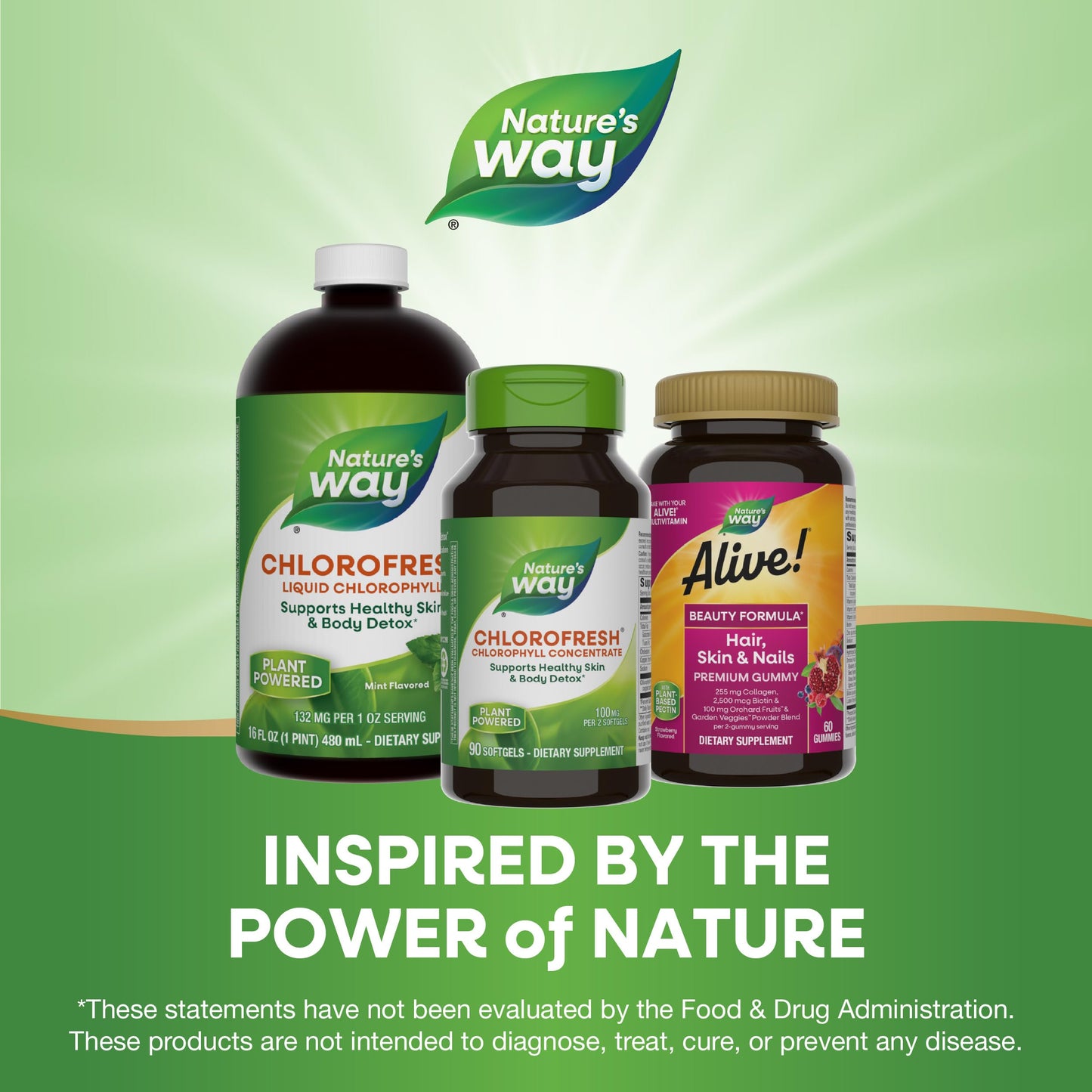 Nature’s Way Chlorofresh Chlorophyll Concentrate, Supports Detox Pathways*, Chlorophyllin Copper Complex, Supports Healthy Skin*, Internal Deodorant*, 90 Softgels