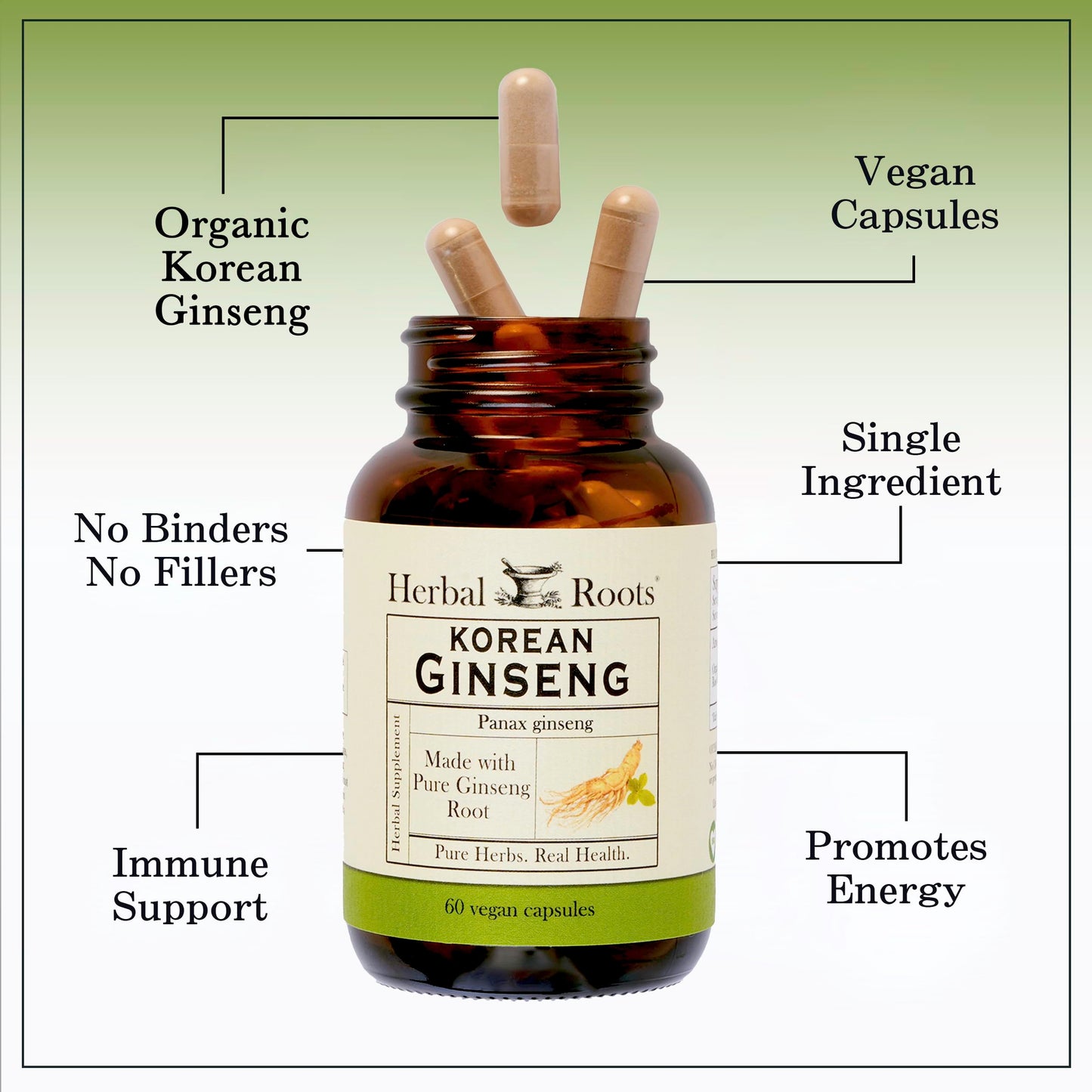 Herbal Roots Panax Ginseng | Organic Korean Ginseng Root Powder | 1000mg | High Ginsenosides for Energy & Performance | 60 Vegan Capsules