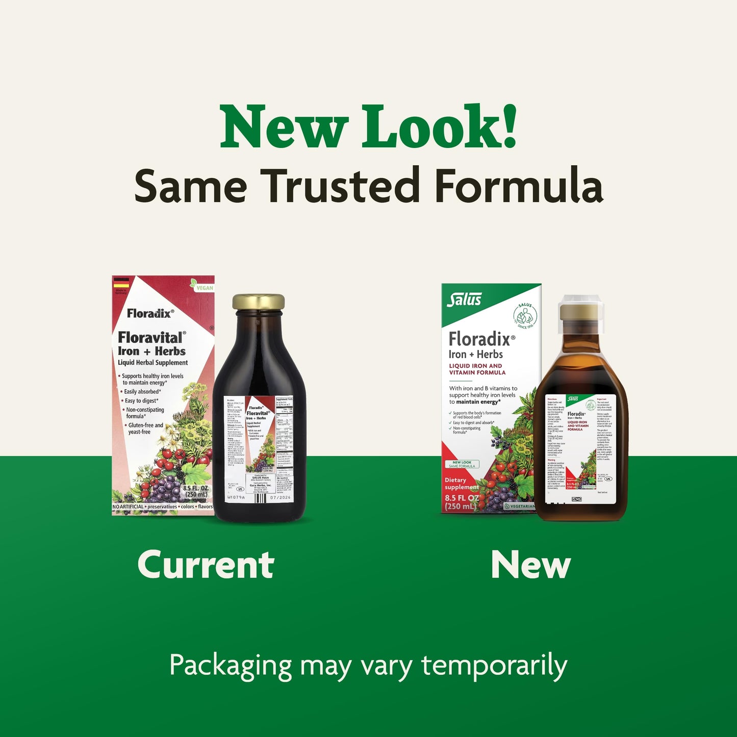 Pre-Order | Arrives in 5–10 Days – Floradix by Salus Iron & Herbs - Liquid Herbal Supplement for Energy Support* - Iron Supplement with Vitamin C & B Complex Vitamins - for Men & Women - 8.5 Fl Oz