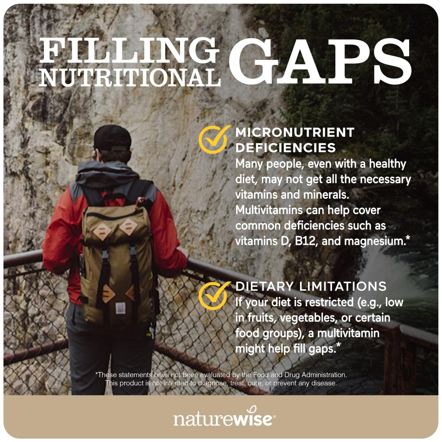 NatureWise Multivitamin for Men, Gummies Peach Mango Flavor, for Immune Health with Minerals & Vitamin A, C, D, E, B6 and B12, Vegetarian, Soy-Free, Non-GMO, 60 Count[1-Month Supply]