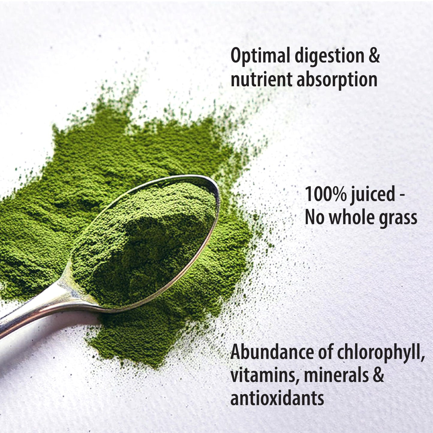 Organic Traditions Organic Wheat Grass Powder, Gluten Free Organic Wheatgrass Powder, Vegan Non-GMO Organic Wheatgrass Juice Powder Superfood, 5.3oz (150g) Bag, 18 Servings per Bag