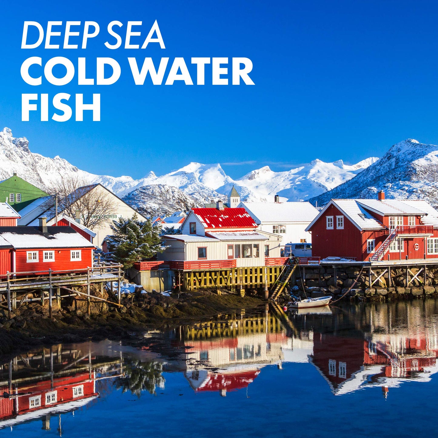 Pre-Order | Arrives in 5–10 Days – Bluebonnet Nutrition Vitamin A & D3 25,000 IU/1,000 IU from Deep Sea, Cold Water, Fish Oil - For Eye Health & Immune Function* - Gluten Free - Dairy Free - Molecularly Distilled - 100 Softgel/Servings