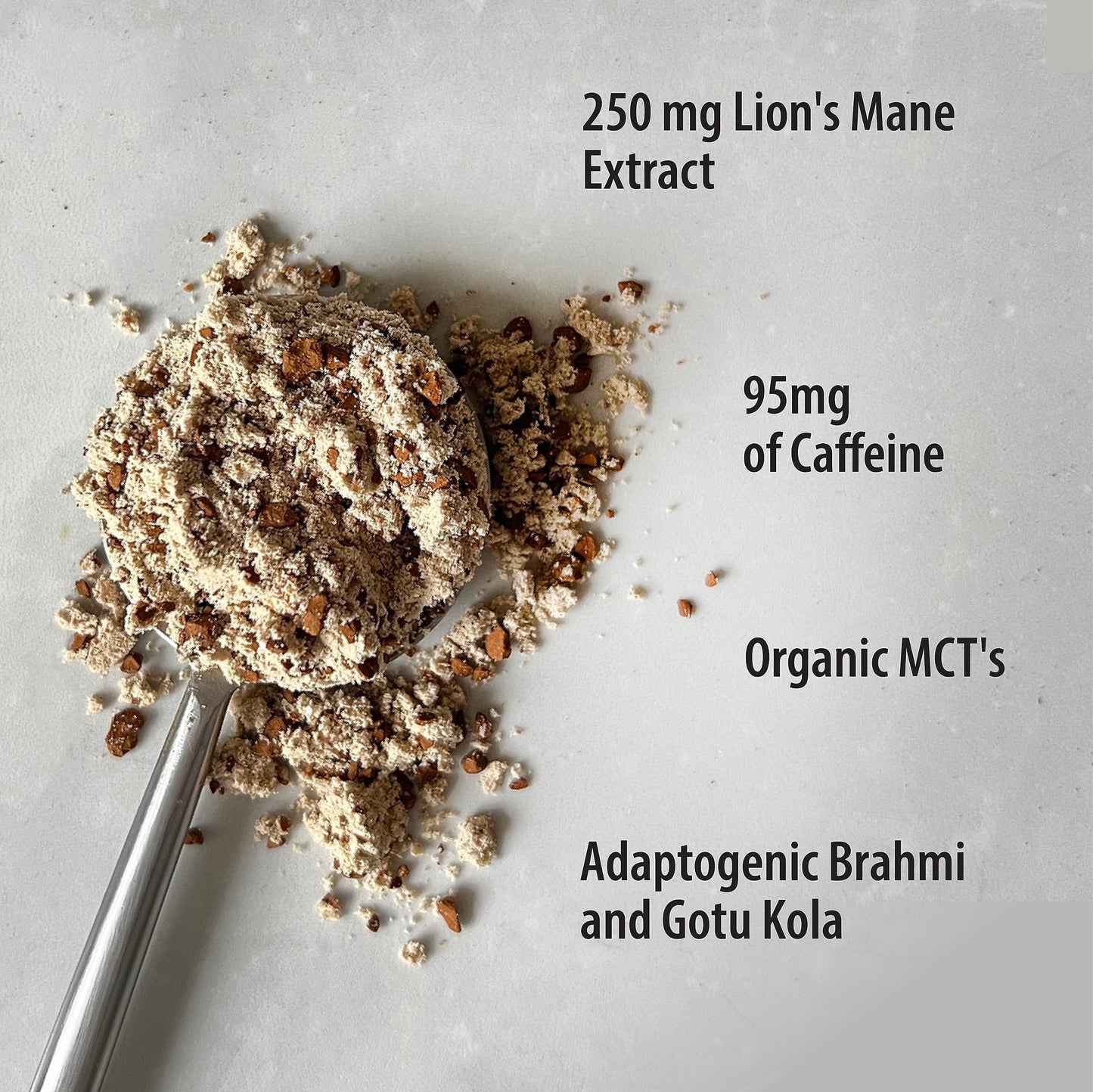 Organic Traditions Focus Fuel Mushroom Coffee – Organic Instant Mushroom Coffee with Lion’s Mane, Adaptogens, MCTs & Coconut Milk Powder – Supports Focus, Memory & Creativity (20 Servings) 280g/10oz