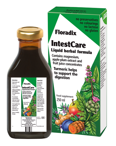 FLORADIX INTESTCARE LIQUID HERBAL FORMULA