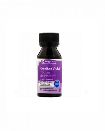 GV PAINT