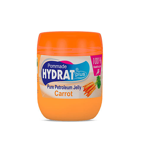 POMMADE HYDRAT PLUS